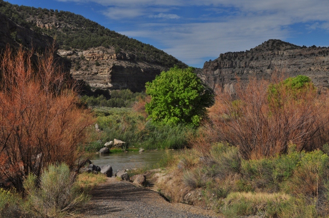 Plateau Canyon